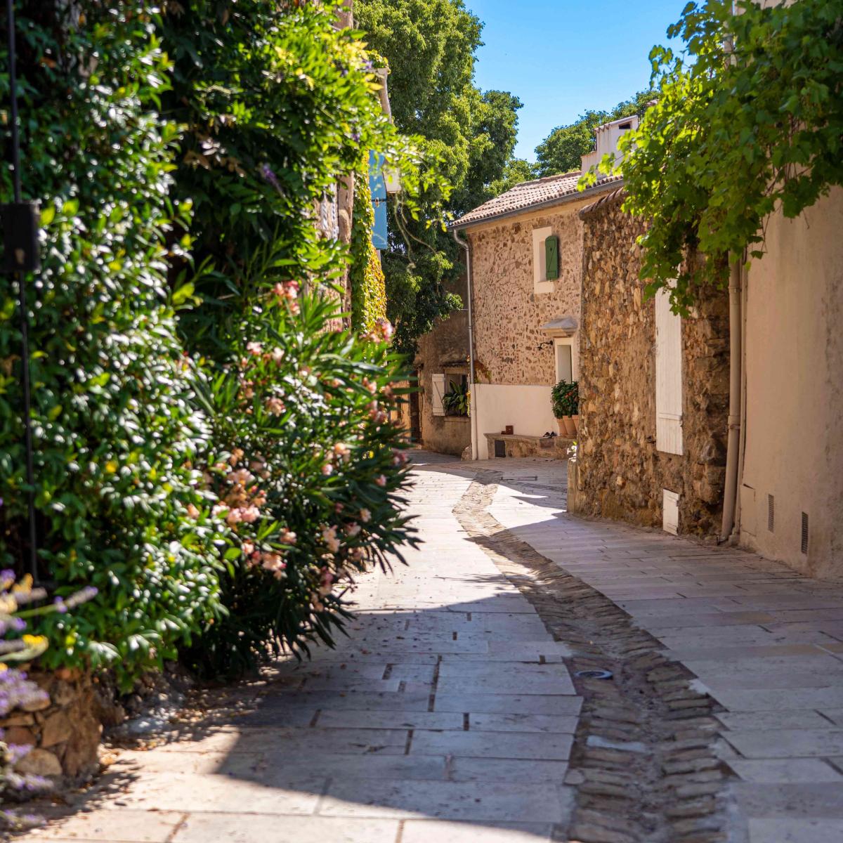 Le Charme Dun Village Grimaud Tourisme Le Charme De La Provence Et