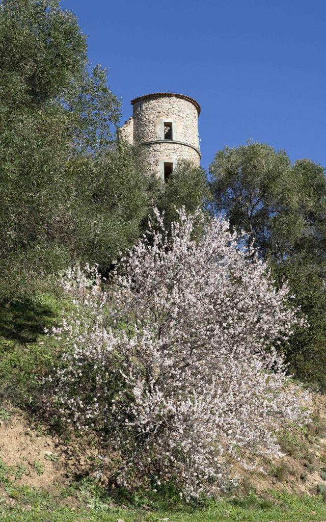 Chateau De Grimaud Var (3)