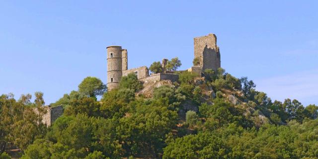 Chateau De Grimaud Var (4)