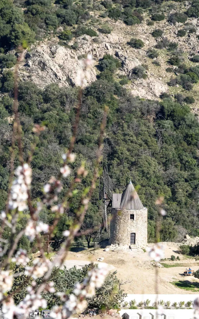 Moulin Saint Roch Grimaud Var (14)