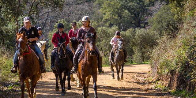 Balade Cheval Provence Grimaud Var (1)