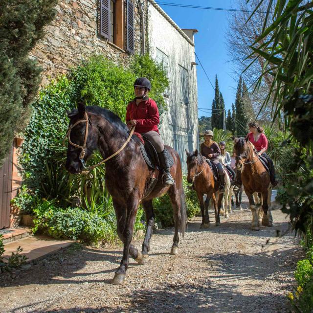 Balade Cheval Provence Grimaud Var (2)