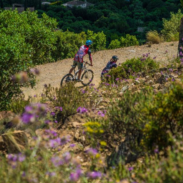 Balade Vélo Provence Grimaud Var (1)