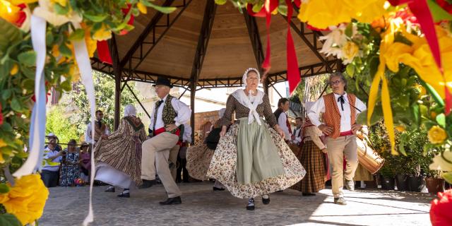 Fete Saint Michel Grimaud Provence (4)