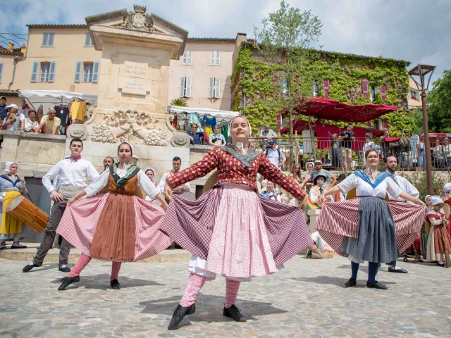 Foire De La Laine Grimaud Provence (11)