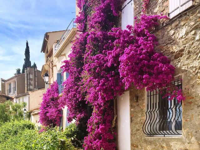 Grimaud Village Historique Var