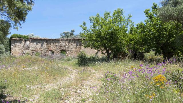 Massif Des Maures Grimaud Var Provence (15)