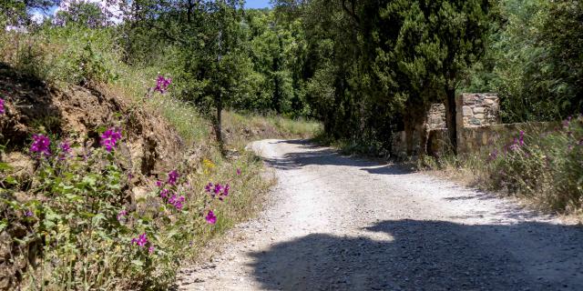 Massif Des Maures Grimaud Var Provence (17)