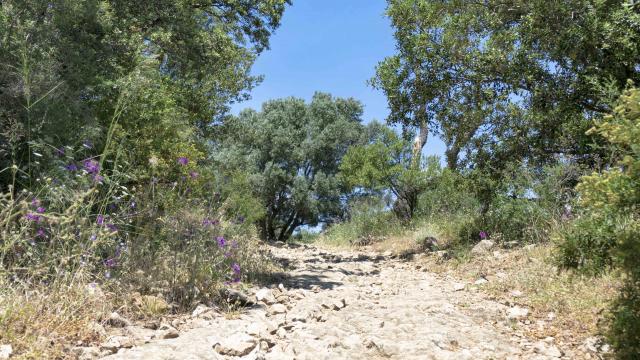 Massif Des Maures Grimaud Var Provence (21)