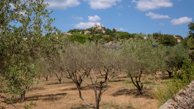 Massif des maures Grimaud Var Provence (37)