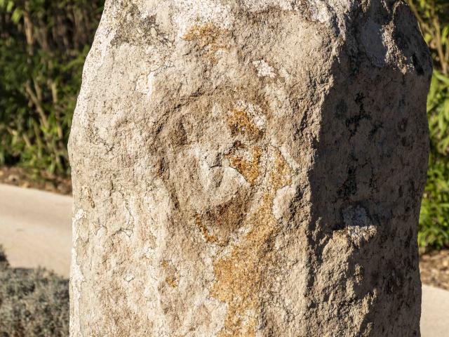 Menhirs En Provence Grimaud Var (4)