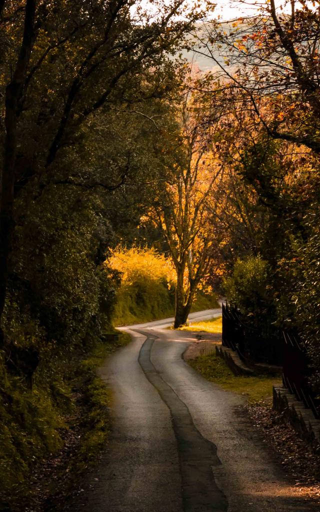 Sentier Castellane Grimaud Var (3)