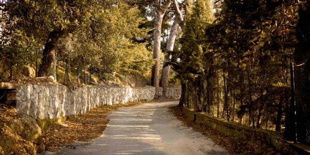 Sentier Castellane Grimaud Var (5)