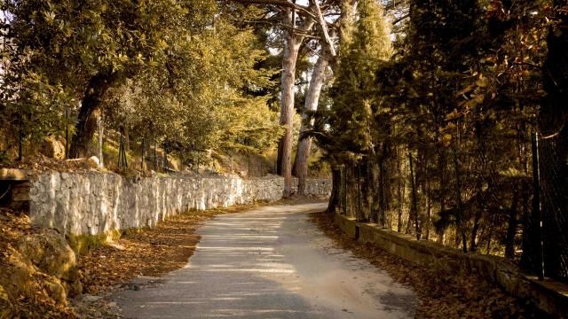 Sentier Castellane Grimaud Var (5)