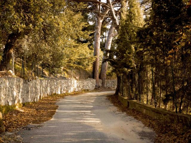 Sentier Castellane Grimaud Var (5)