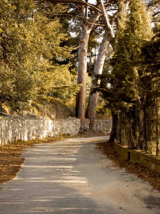 Sentier Castellane Grimaud Var (5)