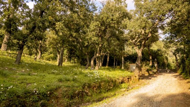 Sentier Pierredon Var (3)