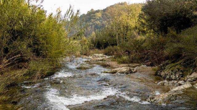 Sentier Pierredon Var (4)