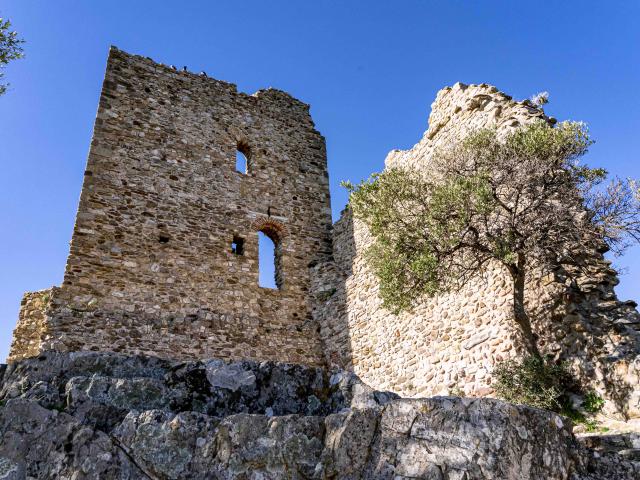 Chateau De Grimaud Var (15)