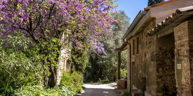 Hameau De Grimaud Var Provence (1)