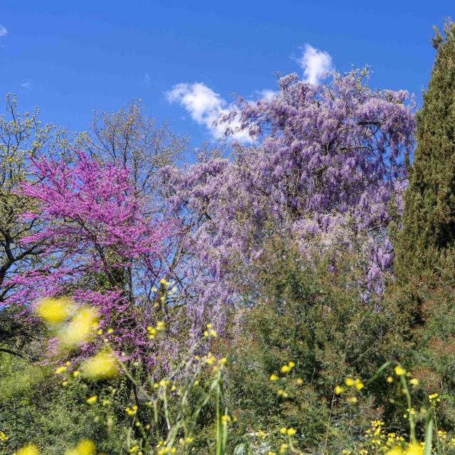 Massif Des Maures Grimaud Var Provence (39)