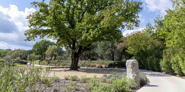 Menhirs En Provence Grimaud Var (5)