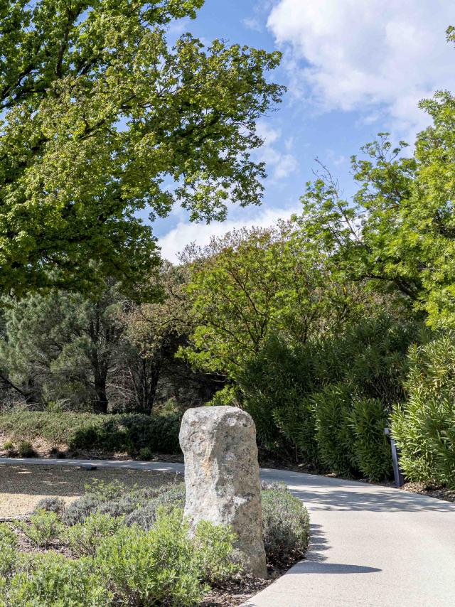 Menhirs En Provence Grimaud Var (5)