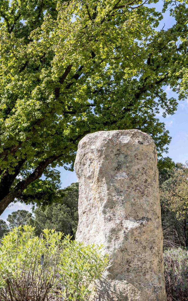 Menhirs En Provence Grimaud Var (6)