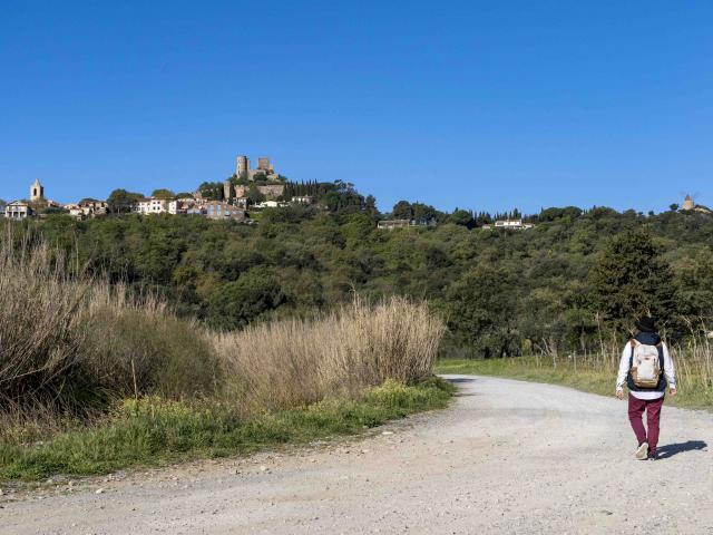 Sentier Calade Grimaud Var (4)