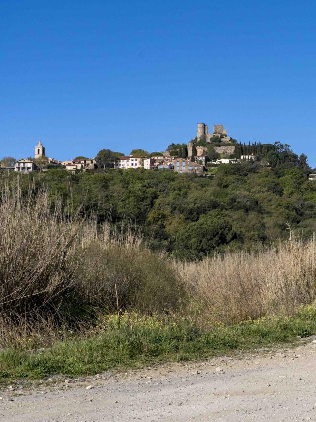 Sentier Calade Grimaud Var (4)