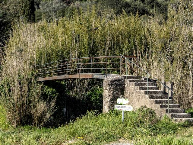 Sentier Calade Grimaud Var (7)