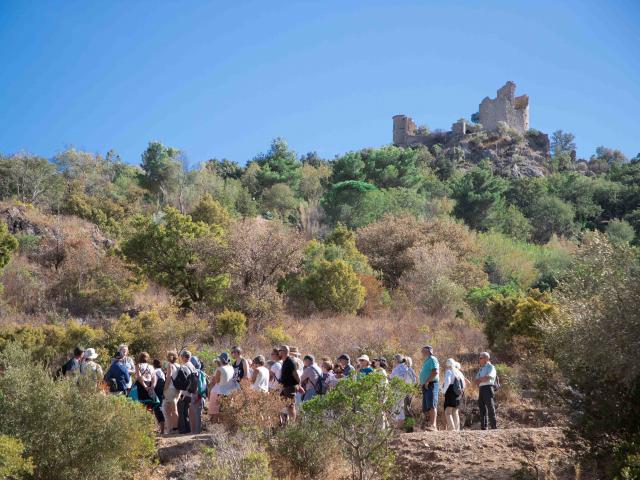 Visites Guidees Grimaud (2)