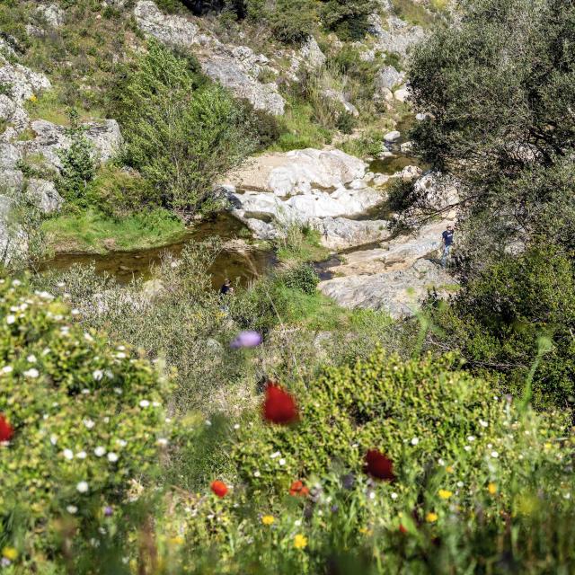 Massif Des Maures Grimaud Var Provence (41)