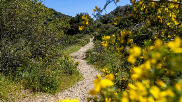 Massif Des Maures Grimaud Var Provence (42)