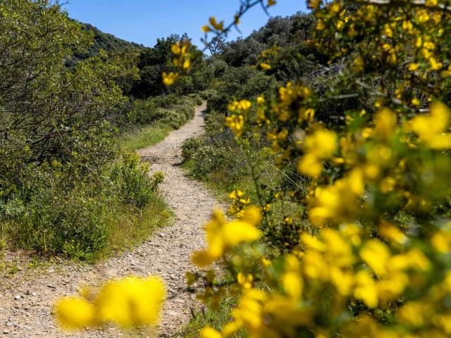 Massif Des Maures Grimaud Var Provence (42)