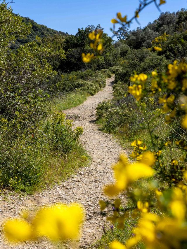 Massif Des Maures Grimaud Var Provence (42)