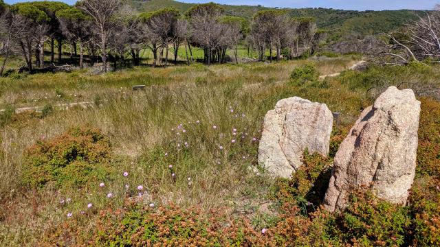 dolmen-briande-ramatuelle.jpg