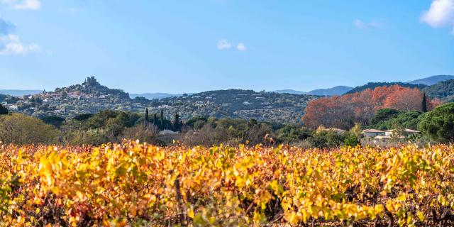 Automne Grimaud Var Provence (26)