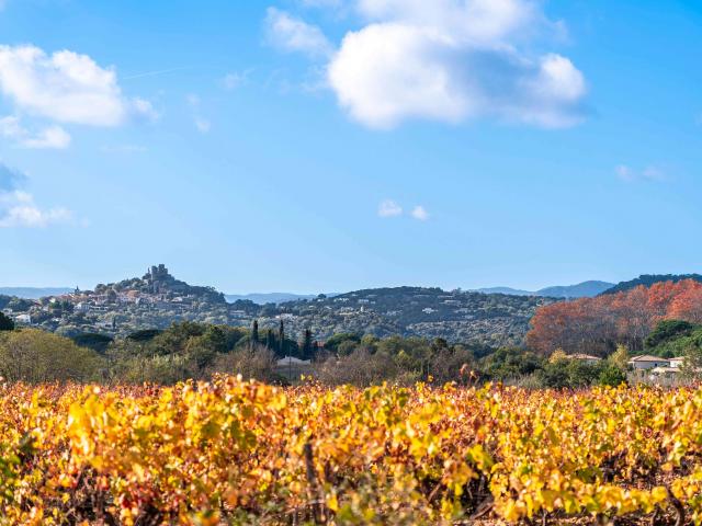 Automne Grimaud Var Provence (26)