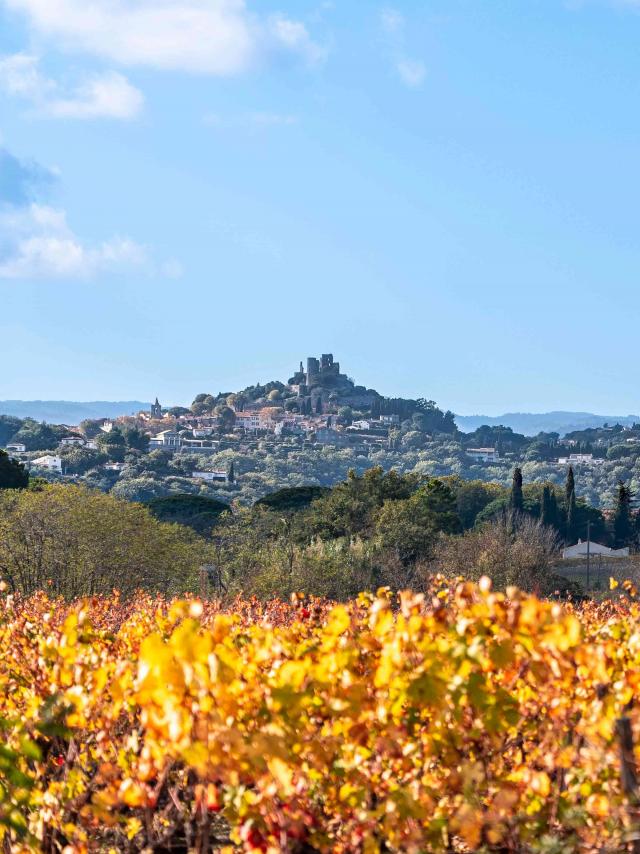 Automne Grimaud Var Provence (26)