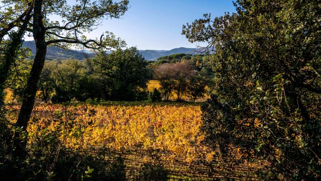 automne-grimaud-var-provence-28.jpg