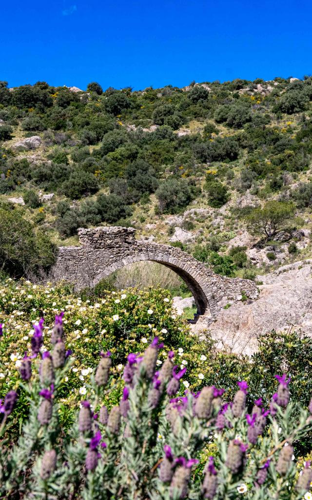 Pont Des Fees Grimaud Var (24)