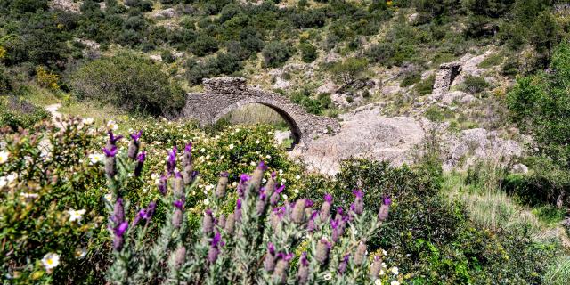 pont-des-fees-grimaud-var-24.jpg