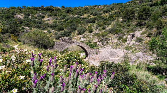 pont-des-fees-grimaud-var-24.jpg