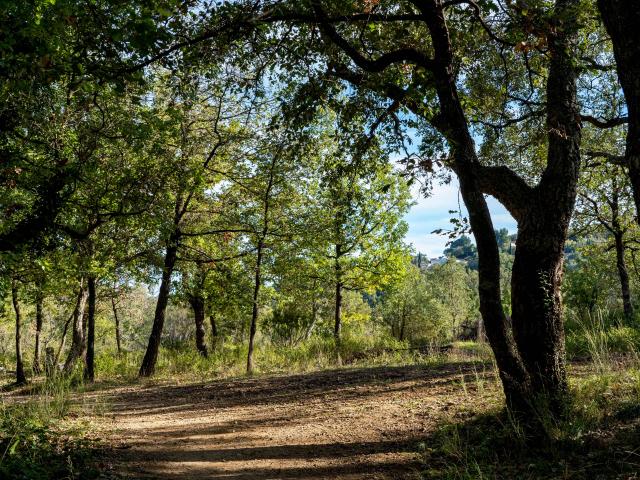 Pont Des Fees Grimaud Var (25)