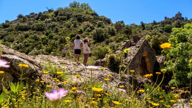 Pont Des Fees Grimaud Var (26)