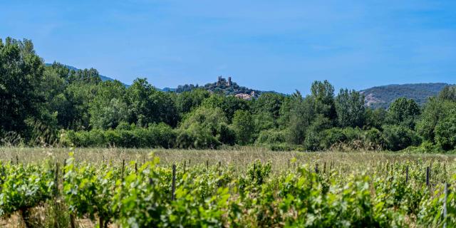 Sentier Peyron Grimaud Var (17)