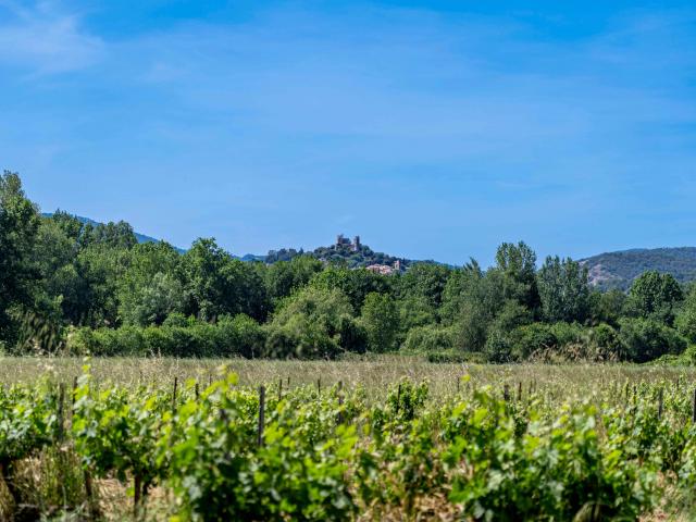 Sentier Peyron Grimaud Var (17)