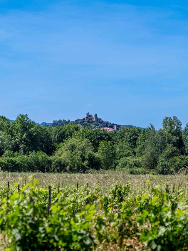 Sentier Peyron Grimaud Var (17)