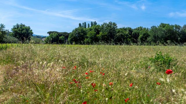 sentier-peyron-grimaud-var-19.jpg